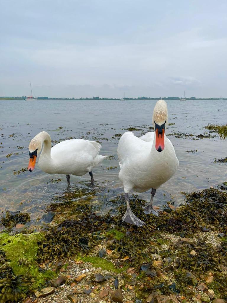 Hotel Sea Breeze Ark 900 Emsworth Esterno foto